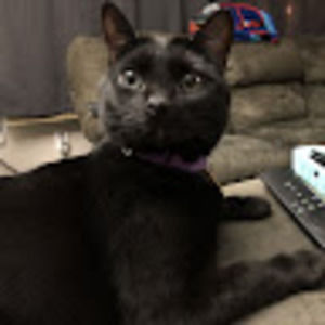 Meet your Posher, Annie